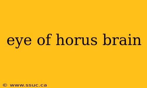 eye of horus brain