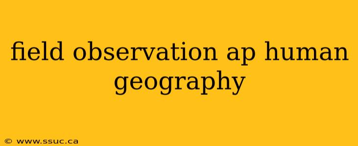 field observation ap human geography
