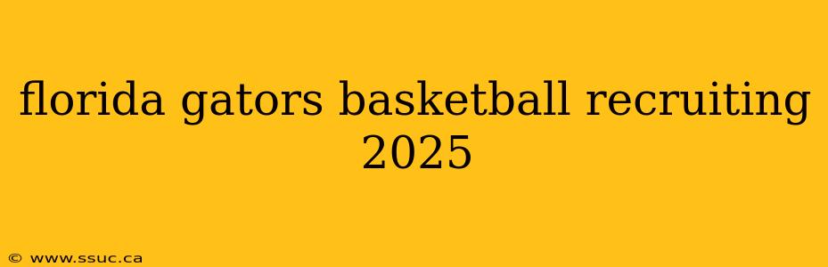 florida gators basketball recruiting 2025