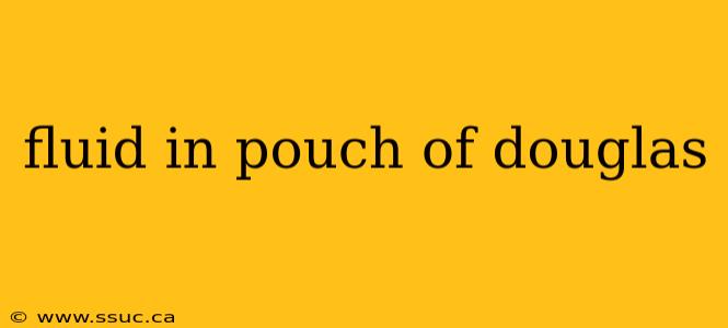 fluid in pouch of douglas