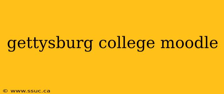 gettysburg college moodle