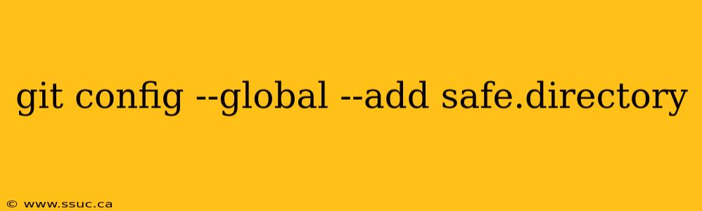 git config --global --add safe.directory