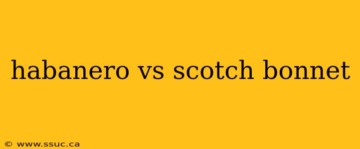 habanero vs scotch bonnet