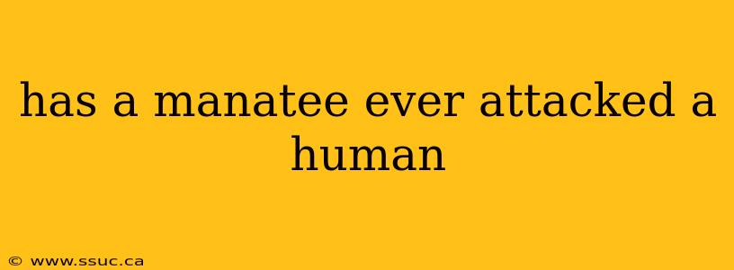has a manatee ever attacked a human