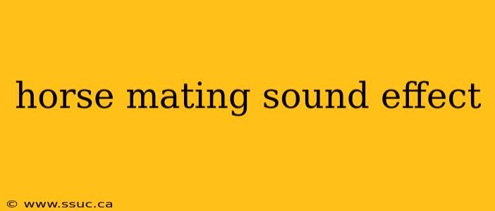 horse mating sound effect