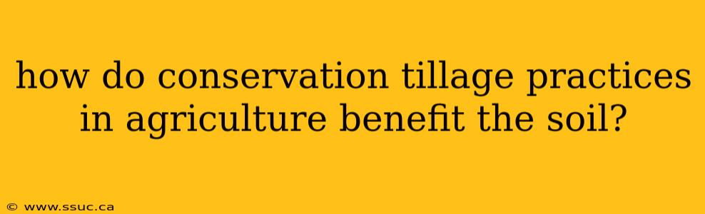 how do conservation tillage practices in agriculture benefit the soil?