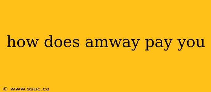 how does amway pay you