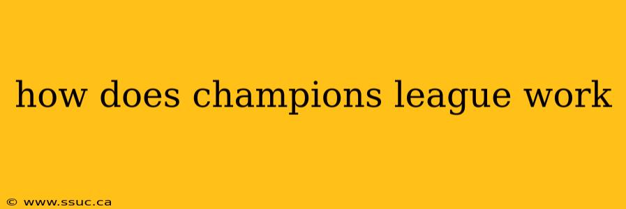 how does champions league work