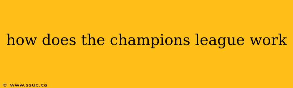 how does the champions league work