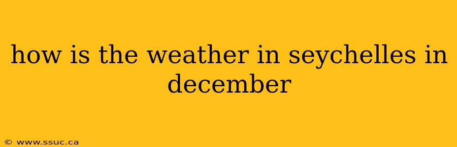 how is the weather in seychelles in december