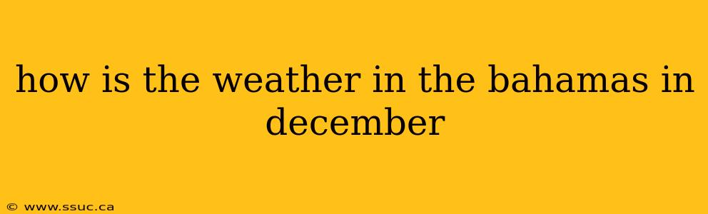 how is the weather in the bahamas in december