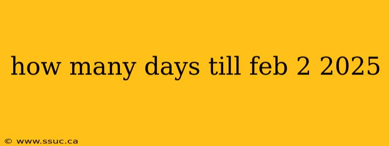 how many days till feb 2 2025