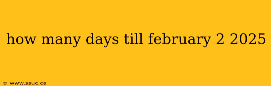 how many days till february 2 2025