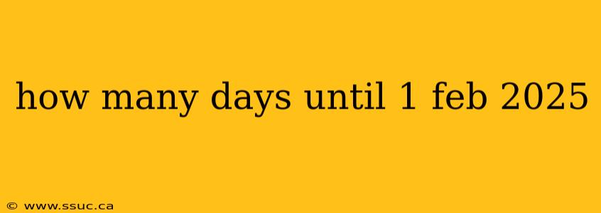 how many days until 1 feb 2025