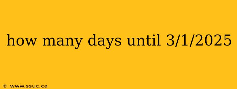 how many days until 3/1/2025