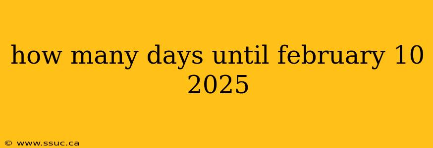 how many days until february 10 2025