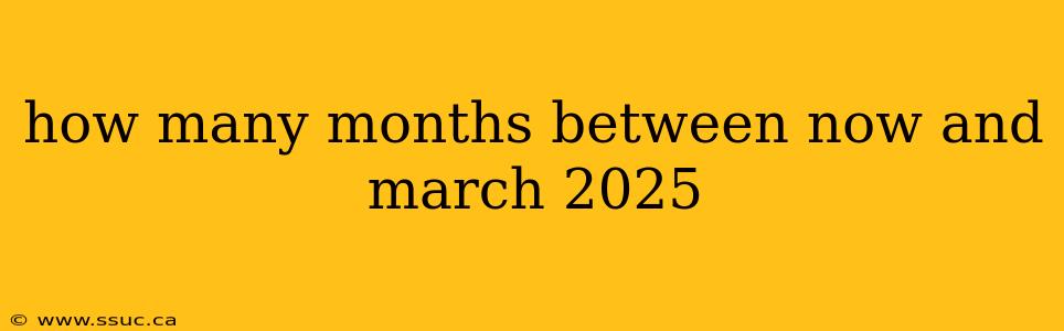 how many months between now and march 2025