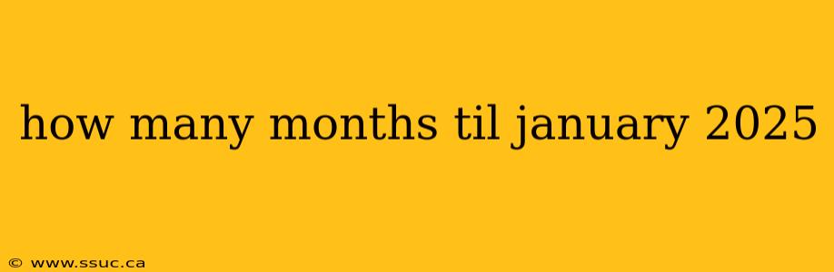 how many months til january 2025