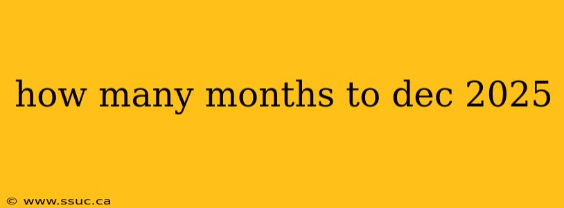 how many months to dec 2025