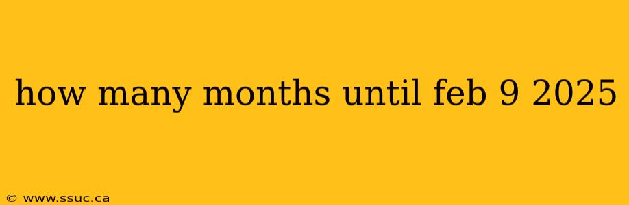 how many months until feb 9 2025
