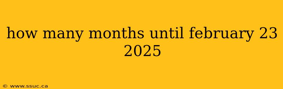 how many months until february 23 2025
