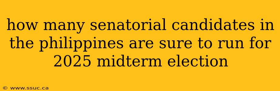 how many senatorial candidates in the philippines are sure to run for 2025 midterm election