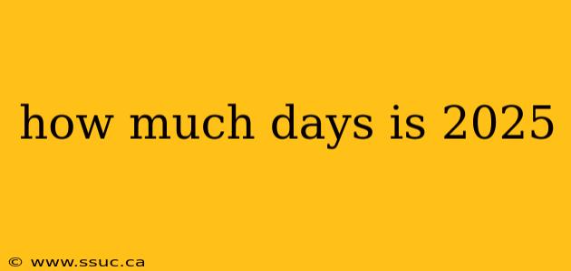 how much days is 2025