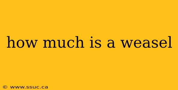 how much is a weasel