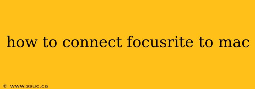 how to connect focusrite to mac