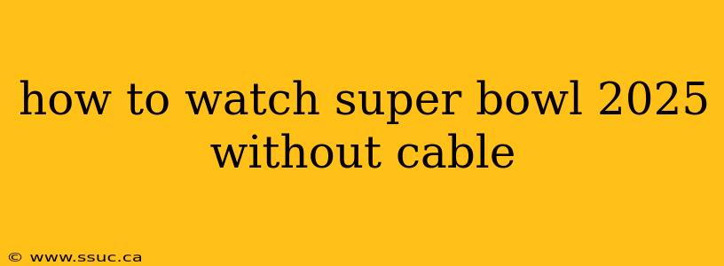 how to watch super bowl 2025 without cable