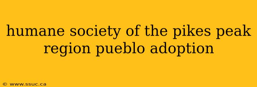 humane society of the pikes peak region pueblo adoption