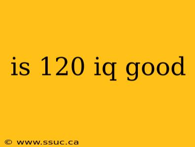 is 120 iq good