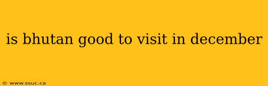 is bhutan good to visit in december
