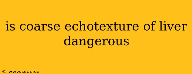 is coarse echotexture of liver dangerous