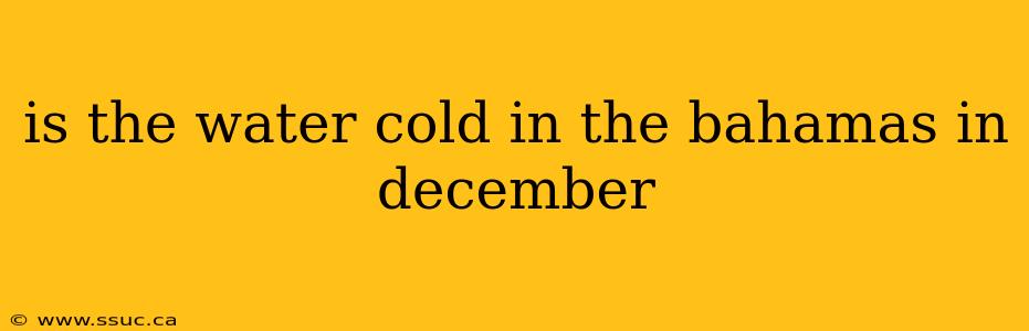 is the water cold in the bahamas in december