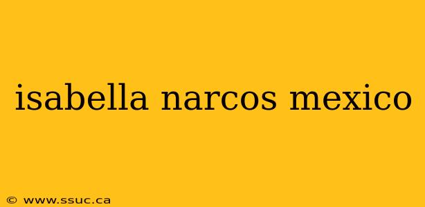 isabella narcos mexico