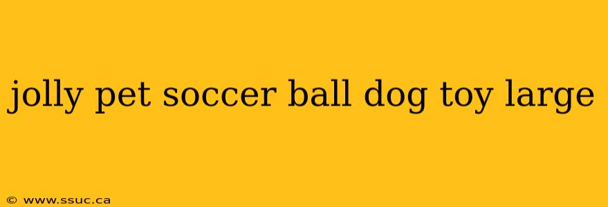jolly pet soccer ball dog toy large
