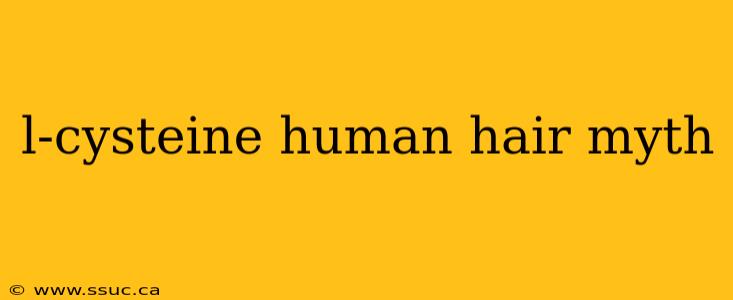 l-cysteine human hair myth