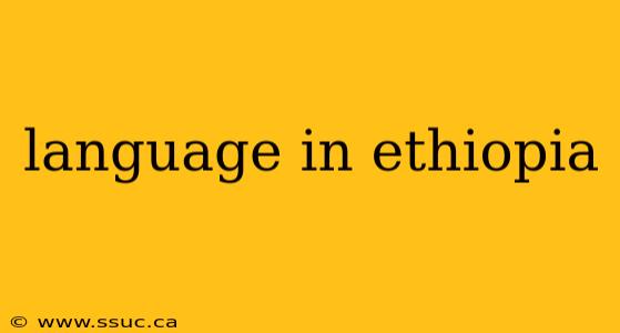 language in ethiopia