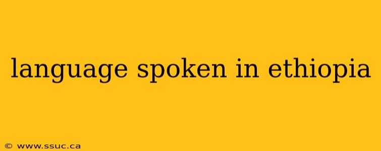 language spoken in ethiopia