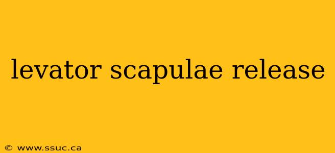 levator scapulae release