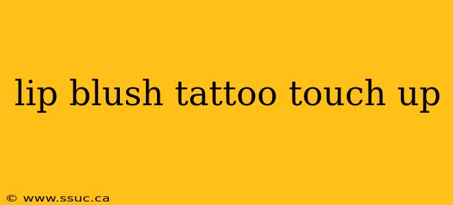 lip blush tattoo touch up