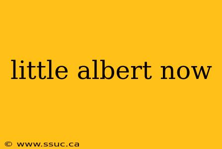 little albert now