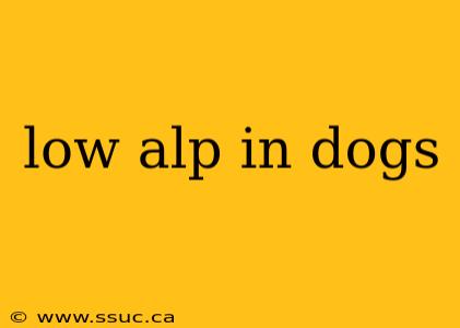 low alp in dogs