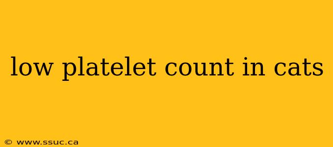 low platelet count in cats