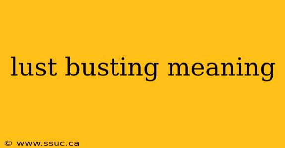 lust busting meaning