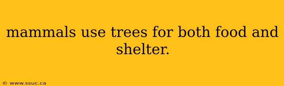 mammals use trees for both food and shelter.