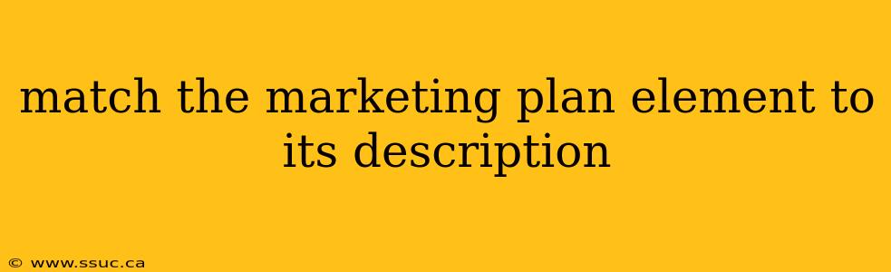 match the marketing plan element to its description
