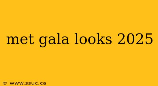 met gala looks 2025
