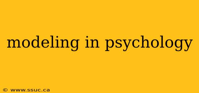 modeling in psychology